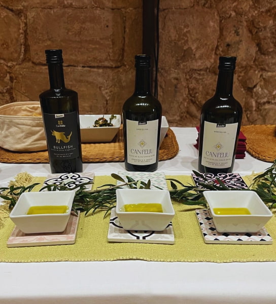 Cata de aceite Can Feliu Tipos de aceites de oliva Can Feliu