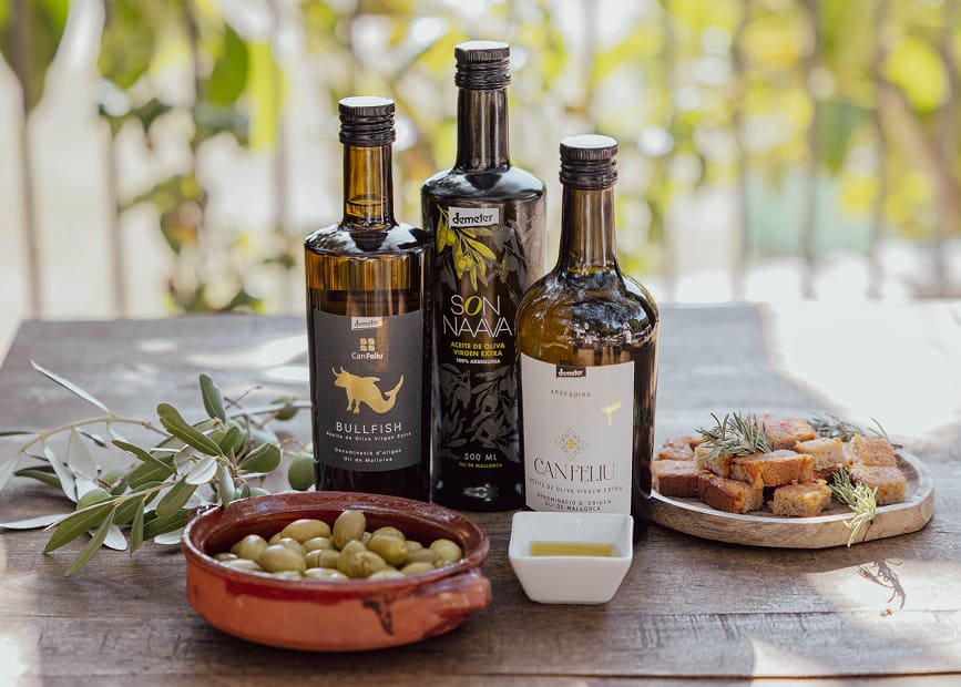 Manos con aceitunas Manos sosteniendo aceitunas de diferentes variedades
