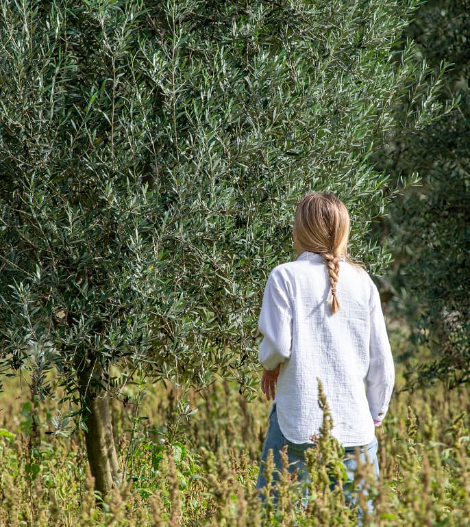Nuestra historia Can Feliu Chica rubia en los olivos Can Feliu